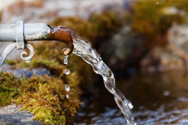 tree-water-nature-branch-winter-liquid-879348-pxhere.com (1) vattenanalys, torv, miljöanalyser