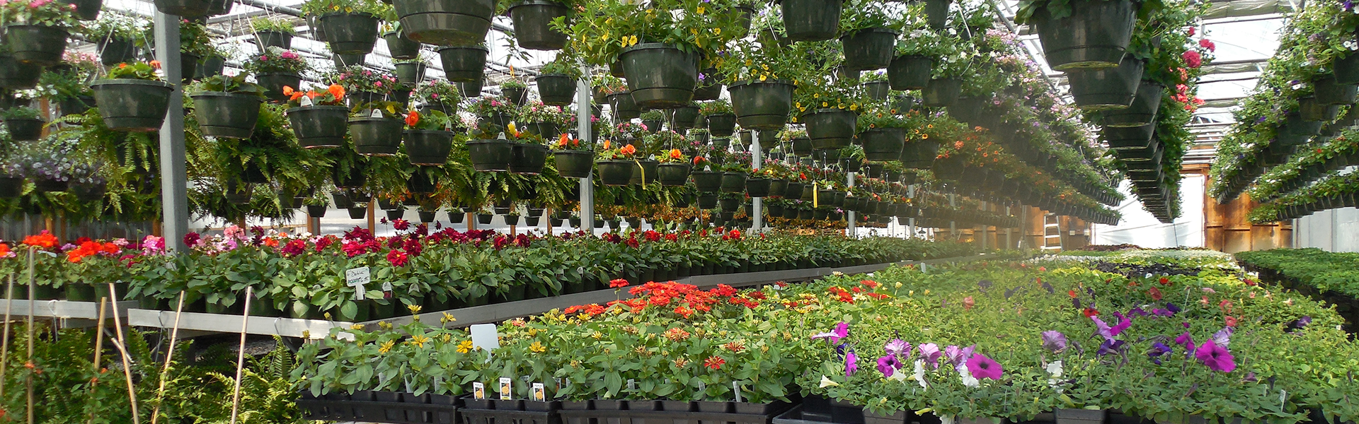 Blommor-2_1920x600