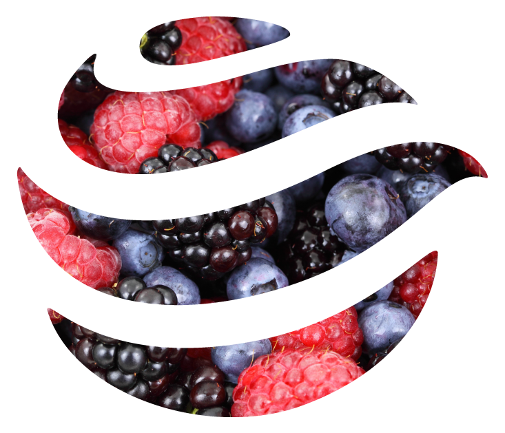 Glob_cmyk_Int_bild_berrys