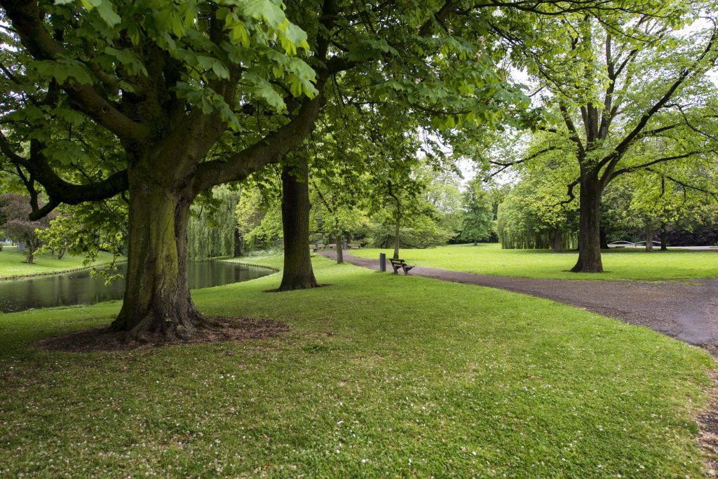 Park at Rottterdam