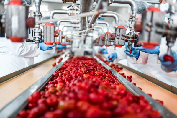 De-seeding Of Cherries In Chia Pudding Factory By Workers Industri
